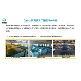 智慧農(nóng)研 高效環(huán)保養(yǎng)魚新標桿，引領現(xiàn)代漁業(yè)綠色轉型